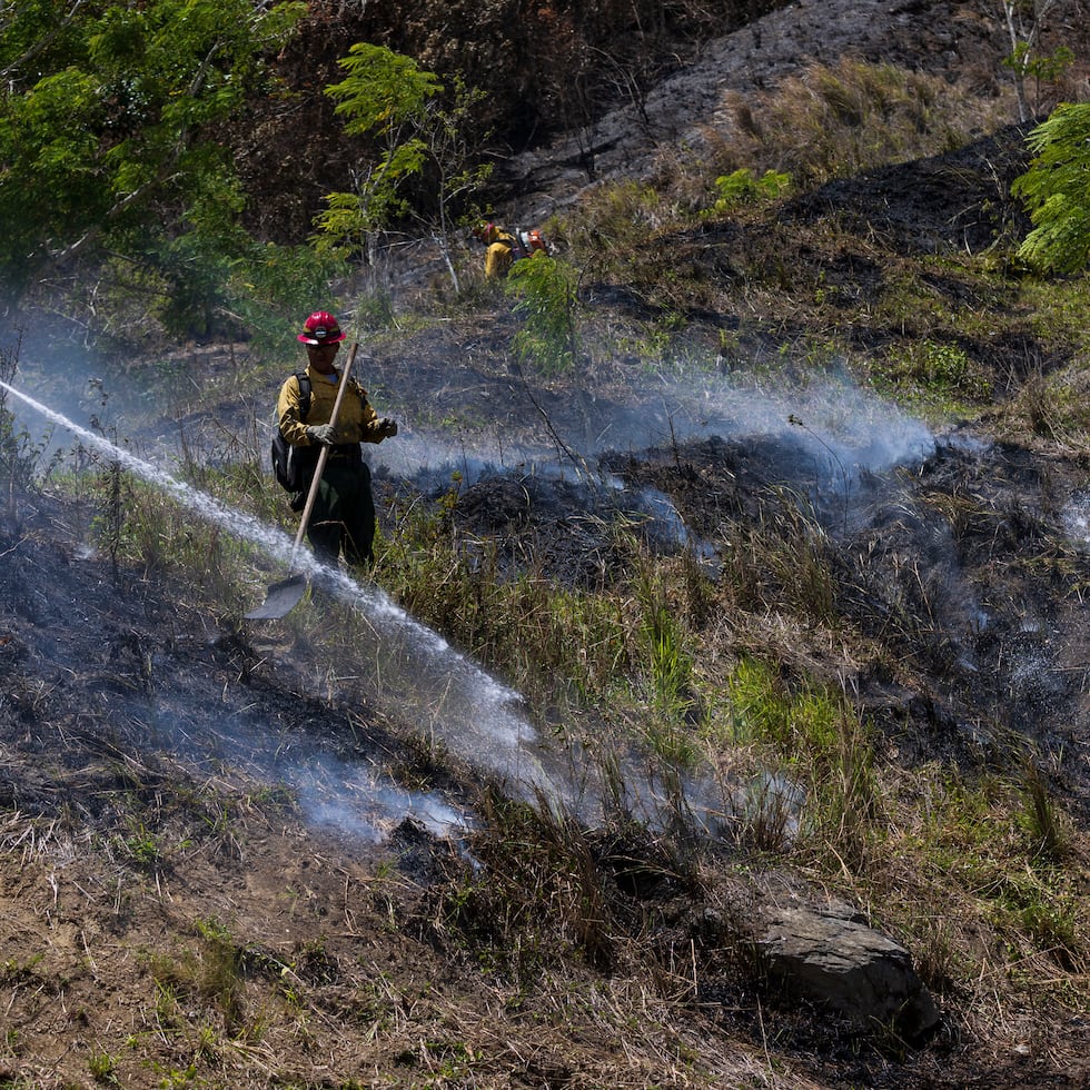 Un comunicado de peligro de incendios permanecerá en efecto hasta las 4:00 p.m. para sectores del sur.