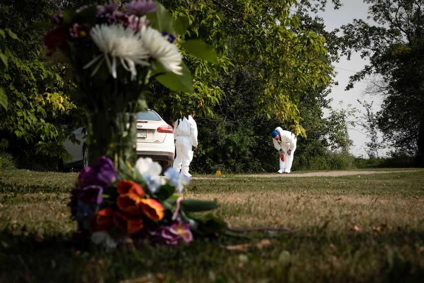 Investigadores revisan la escena de un crimen afuera de la casa de Wes Petterson, el lunes 5 de septiembre de 2022, en Weldon, provincia de Saskatchewan, Canadá. Petterson, de 77 años, murió tras ser apuñalado el domingo. (AP Foto/Robert Bumsted)