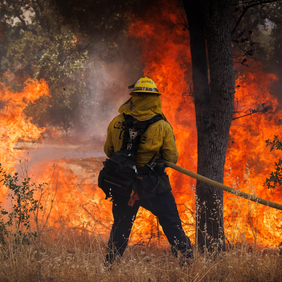 Un incendio forestal agudizado por la sequía en Florida alcanzó este martes los 25,000 acres en los Everglades, una de las principales zonas naturales del sur de Estados Unidos, avisó la Oficina Nacional de Administración Oceánica y Atmosférica (NOAA, en inglés).
