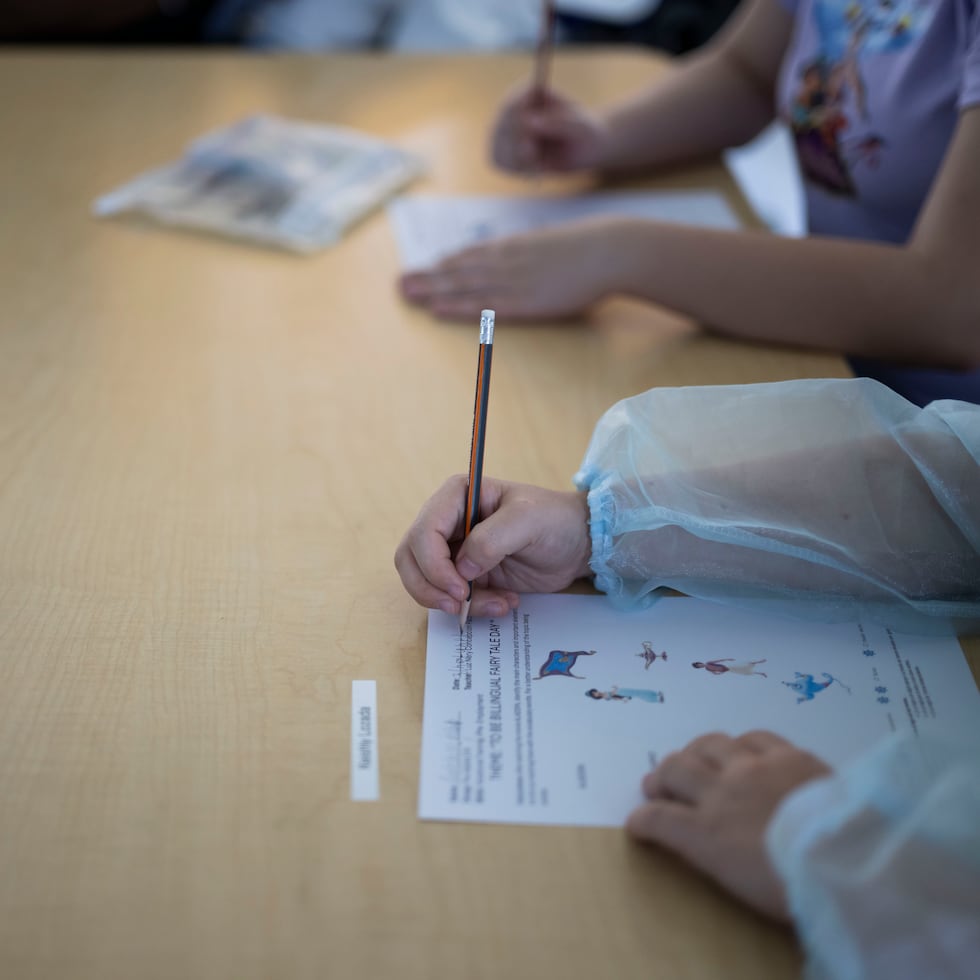 La Ley 73 de la ASG de 2019 establece un sistema centralizado de compras para todas las agencias. Educación ha recibido, mediante órdenes ejecutivas, extensiones desde 2021 para posponer el cumplimiento con la ley.