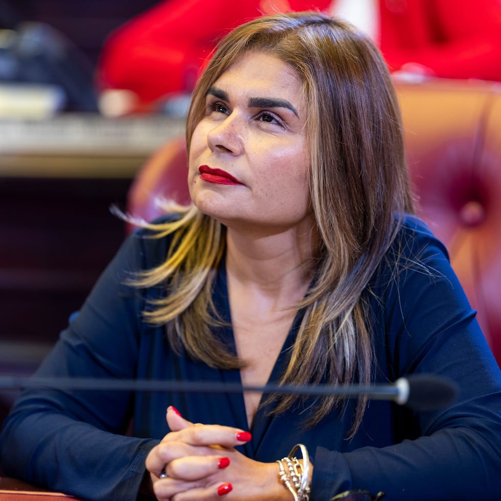 Marissa Jiménez Santoni chairs the joint committee in charge of addressing the draft plan to address climate change in Puerto Rico.