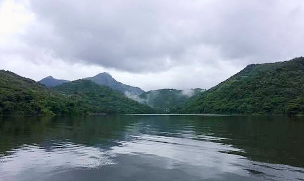Inversionistas donan 3,740 acres de terreno ecológico al Fideicomiso de Conservación de Puerto Rico