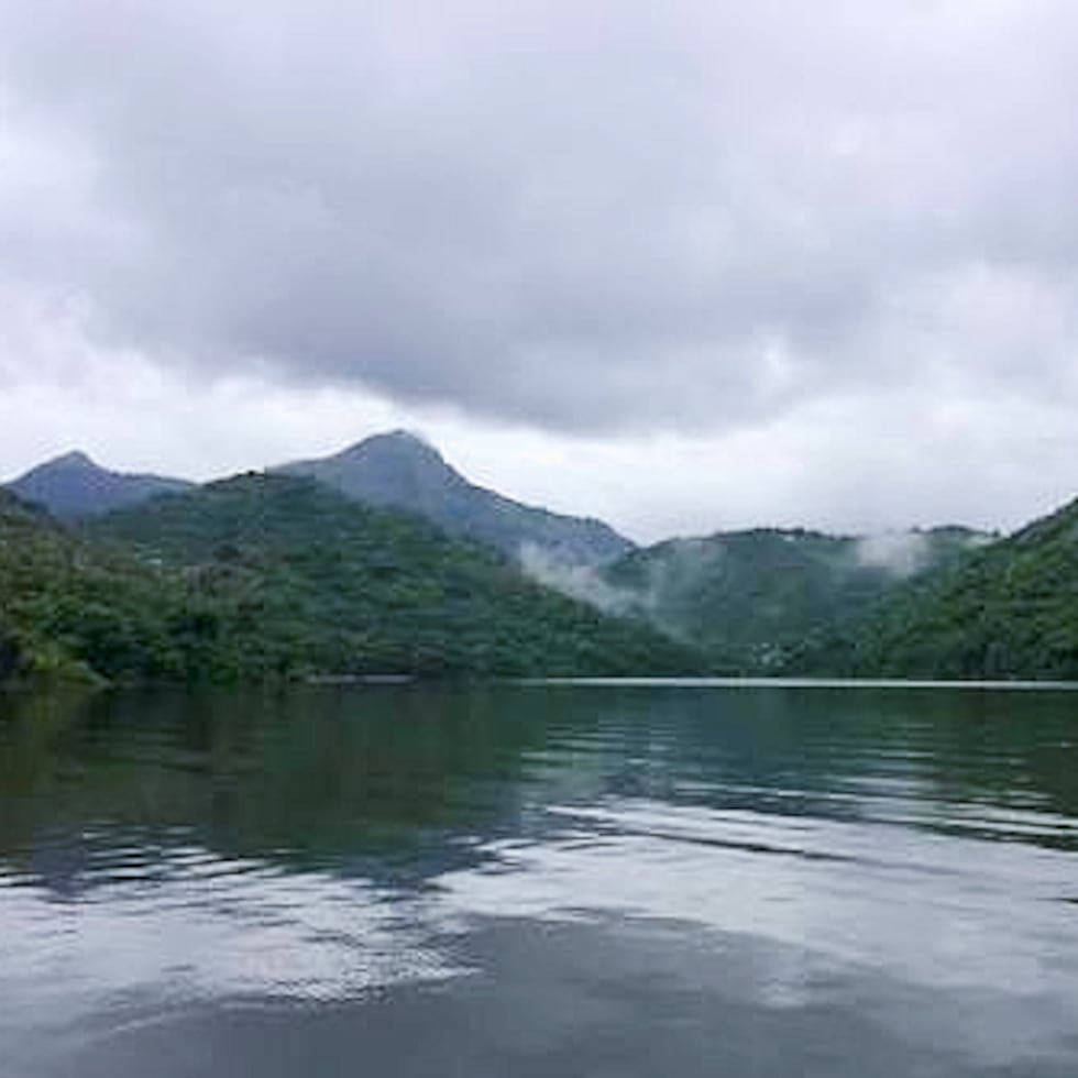 Entre los terrenos donados, figuran unas 200 cuerdas en la ribera sur del embalse Lucchetti que, al unirse a los terrenos previamente protegidos, ayudan a que aproximadamente el 70% de la orilla del lago esté bajo conservación, se informó.