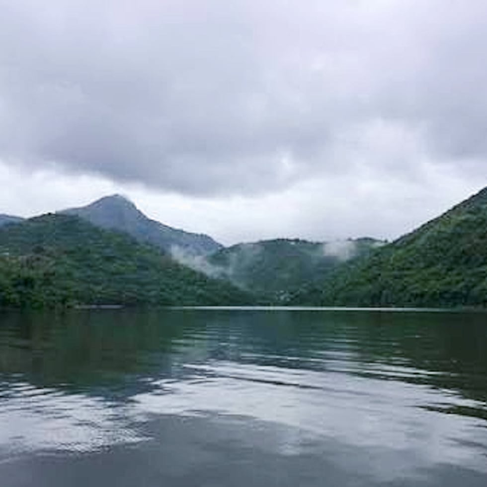 The total acreage is expected to grow in the coming months as transactions are processed in municipalities such as Aguadilla, Peñuelas and Vieques.