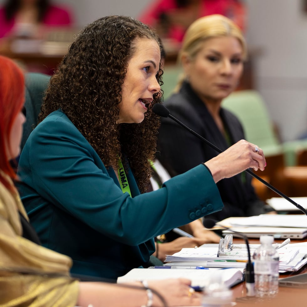 Quiñones (al centro) compareció a la audiencia convocada por la Comisión de Gobierno, que preside el representante Víctor Parés.