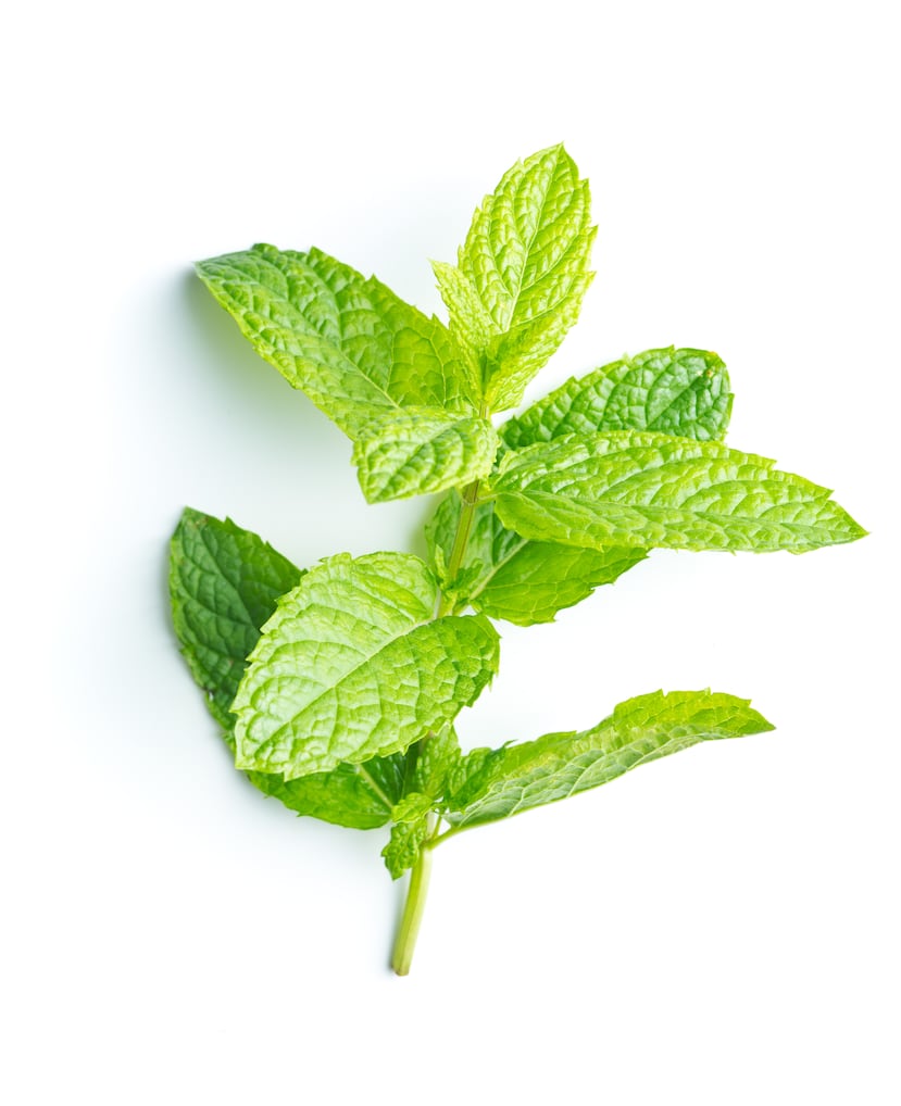 menta