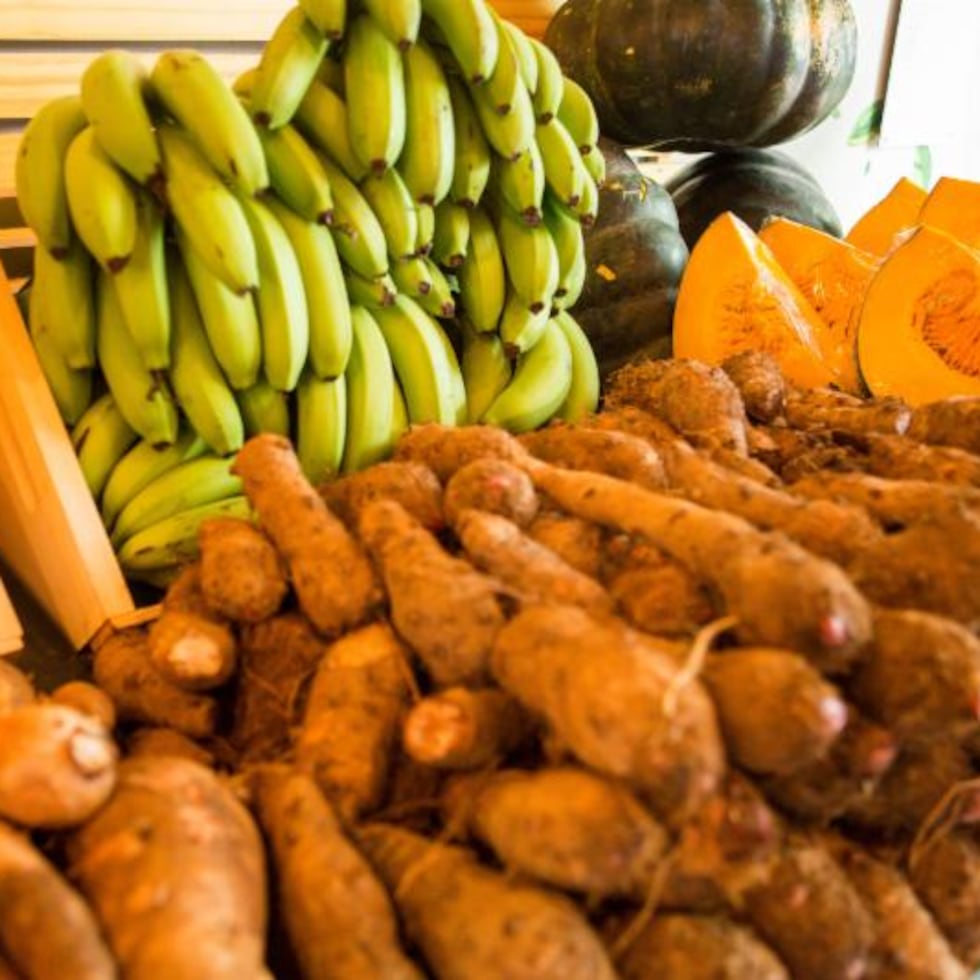 El consumidor tiene más poder del que cree. No controla las políticas agrícolas, pero sí controla la demanda. Y la demanda mueve mercados, señala Rafael Mejía.