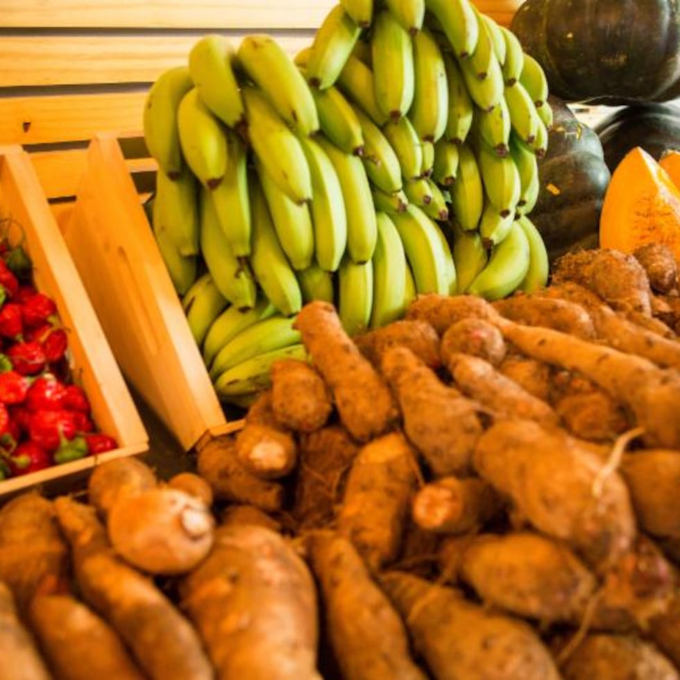Las nuevas guías desplazan alimentos tradicionales como las habichuelas, las viandas, el plátano, la yuca y la batata, mientras favorecen alimentos de alto costo.