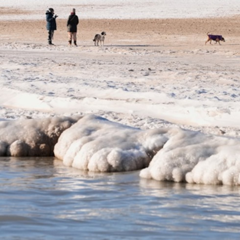 Se forma hielo a lo largo de la orilla del lago Michigan mientras la gente pasea a sus perros en una playa, el martes 20 de enero de 2026, en Chicago. (AP Photo/Kiichiro Sato)