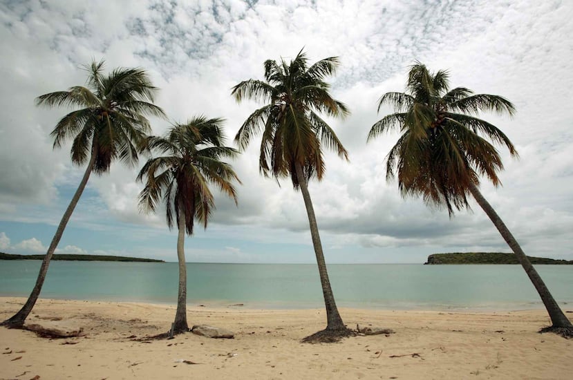 El balneario de Sun Bay es reconocido por tener una de las playas más linda de Vieques y tiene una zona de acampar por $10.00. Los autos pueden aparcar por $3.00.
