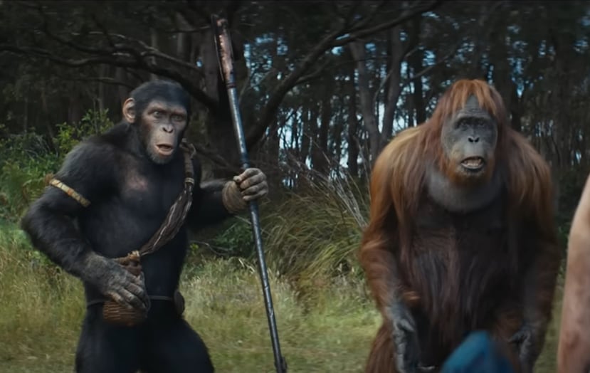 "Kingdom of the Planet of the Apes" estrenó en los cines el jueves, 9 de mayo de 2024.