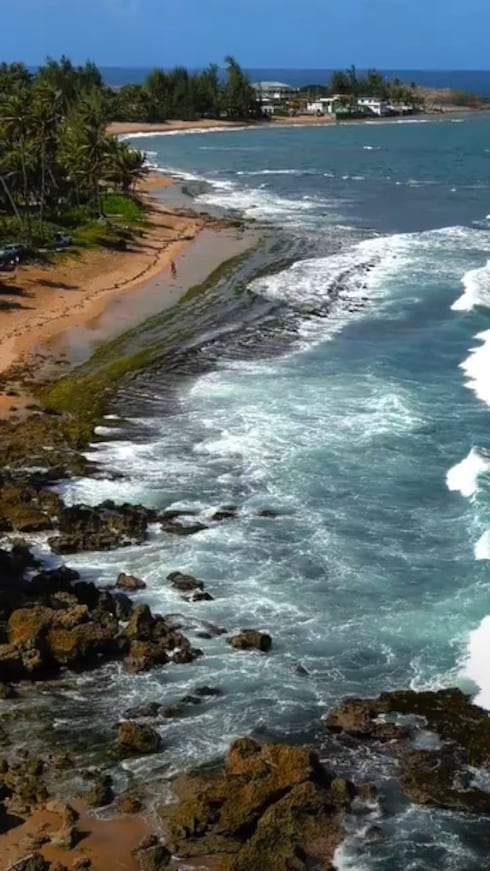 Los terrenos de Playa Hermosa, en la costa de Vega Baja, fueron donados en agosto del 2025. Según el Fideicomiso de Conservación, son ejemplo de cómo la Ley de Servidumbre de Conservación permite salvar tierras de alto valor ecológico que, de otra forma, se hubiesen impactado con construcción.
