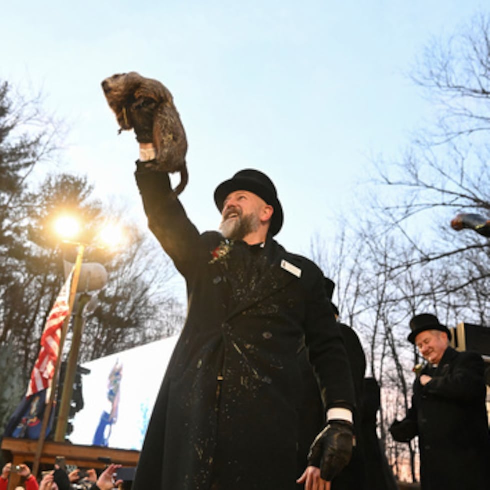 ARCHIVO - A.J. Dereume, adiestrador del Club de la Marmota, sostiene a Punxsutawney Phil, la marmota pronosticadora del tiempo, durante la 139ª celebración del Día de la Marmota en Gobbler's Knob en Punxsutawney, Pensilvania, el 2 de febrero de 2025. (AP Photo/Barry Reeger, Archivo)