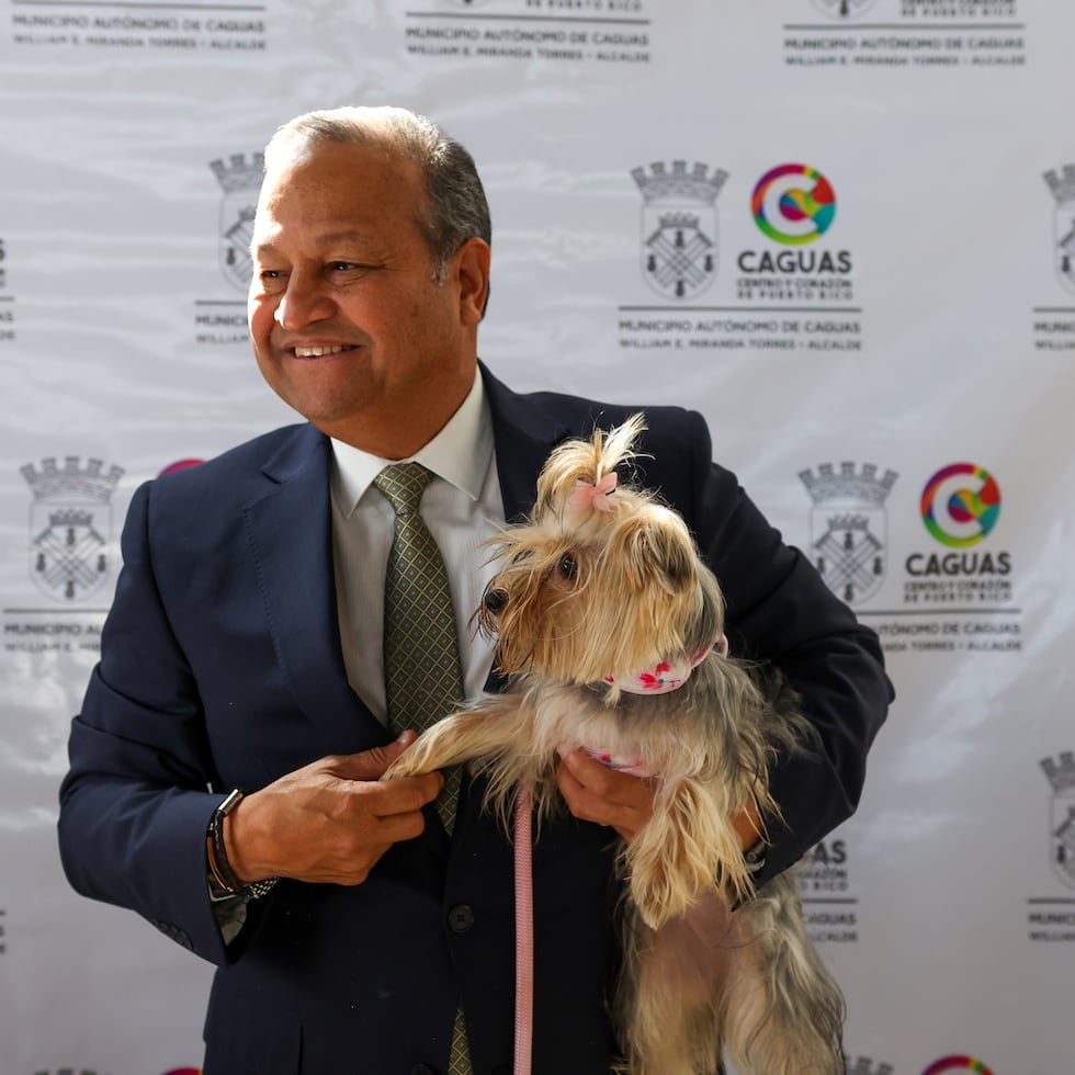 El Municipio de Caguas lanzó un nuevo proyecto de bienestar animal, que combina educación, esterilización y hasta arte.