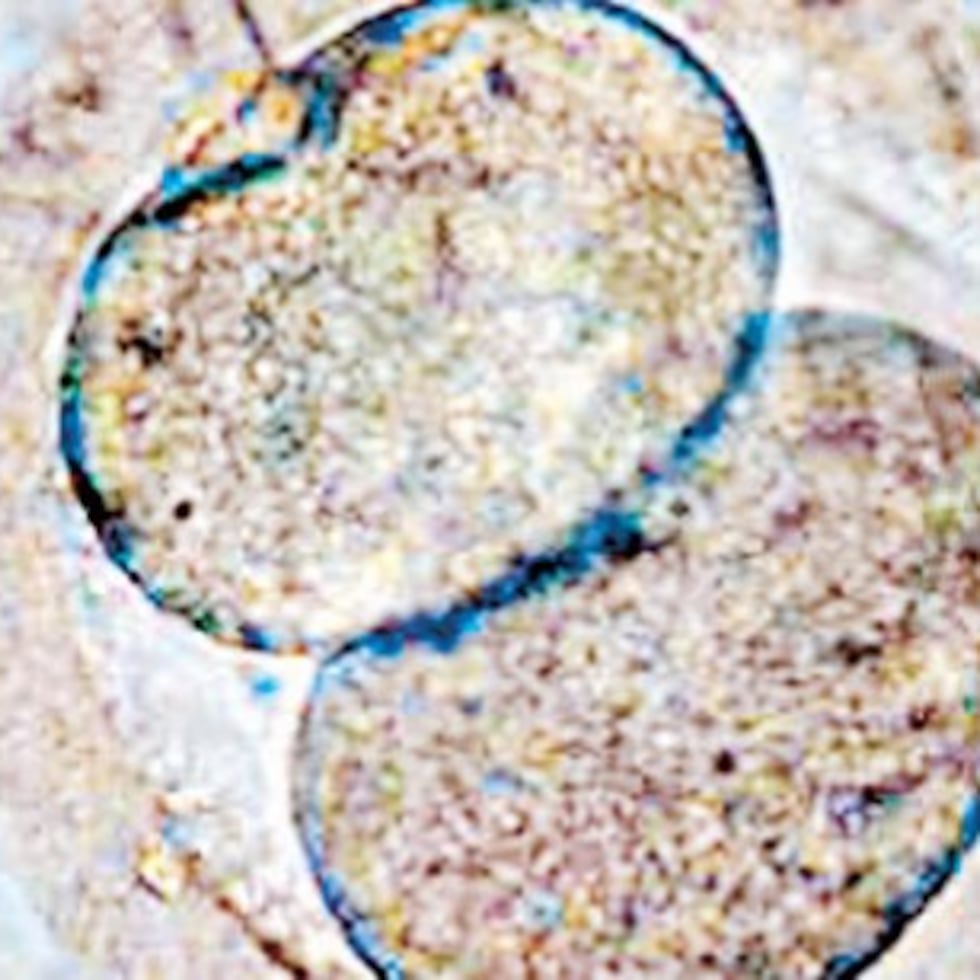 Leyes que establecen derechos legales para células fetales y embriones tendrán impactos devastadores para las puertorriqueñas, como los que vemos en los Estados Unidos, destaca Lourdes Rivera.