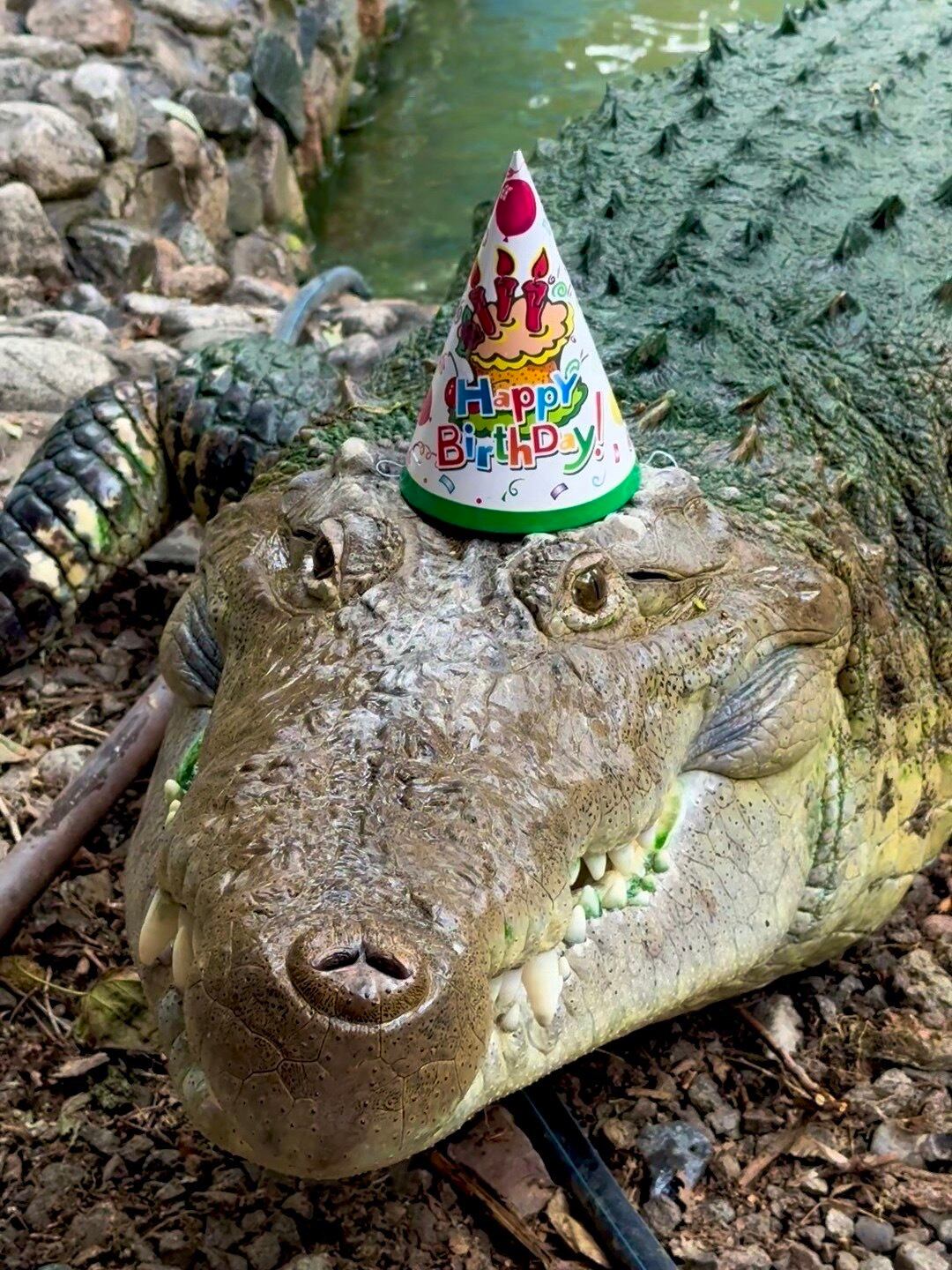 Imagen de la cobertura de: Cumple 40 años Fidel, el cocodrilo cubano de un zoológico en Kazajistán