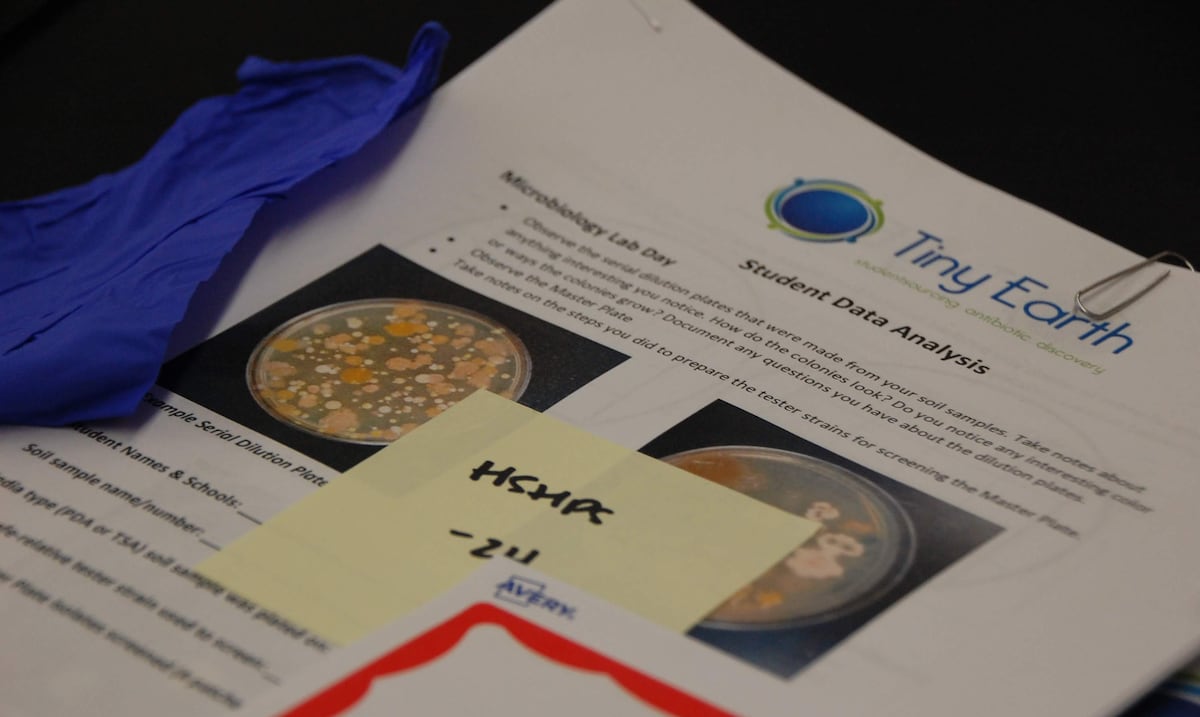 Estudiantes puertorriqueños se unen por primera vez a la búsqueda mundial de nuevos antibióticos