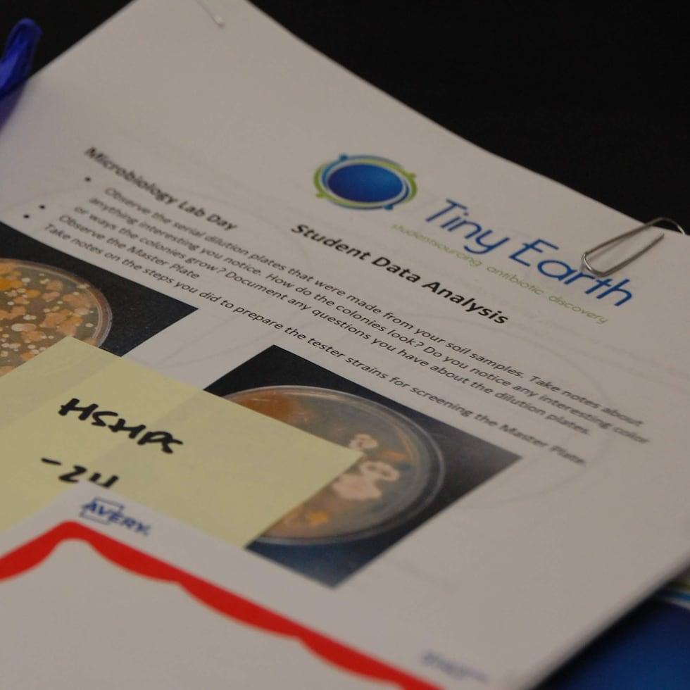 Tiny Earth es un programa de verano internacional para estudiantes subgraduados y de escuela superior. Tiene como objetivo identificar nuevos compuestos antibióticos utilizando muestras de suelo.