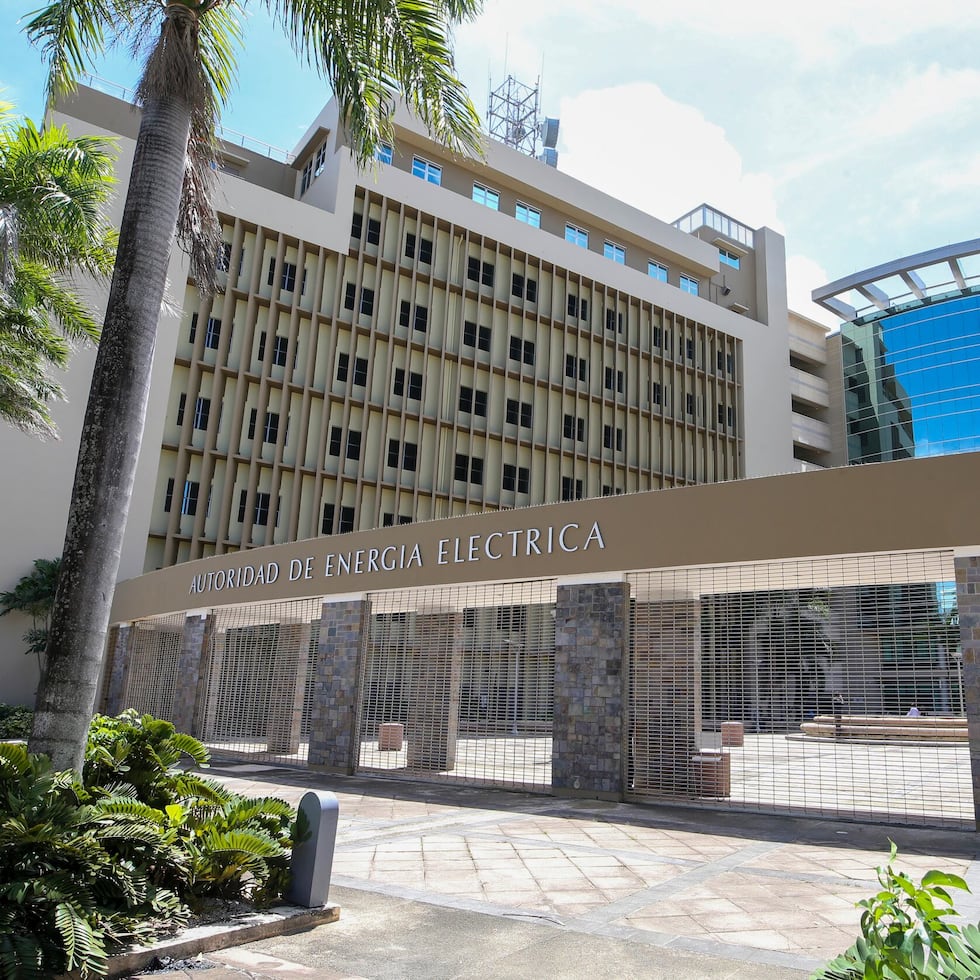 According to the document, there was no express authorization allowing Power Expectations to designate who could sign on behalf of Enchanted Rock in a government contract, such as the $5.887 billion agreement with the Puerto Rico Electric Power Authority (PREPA).