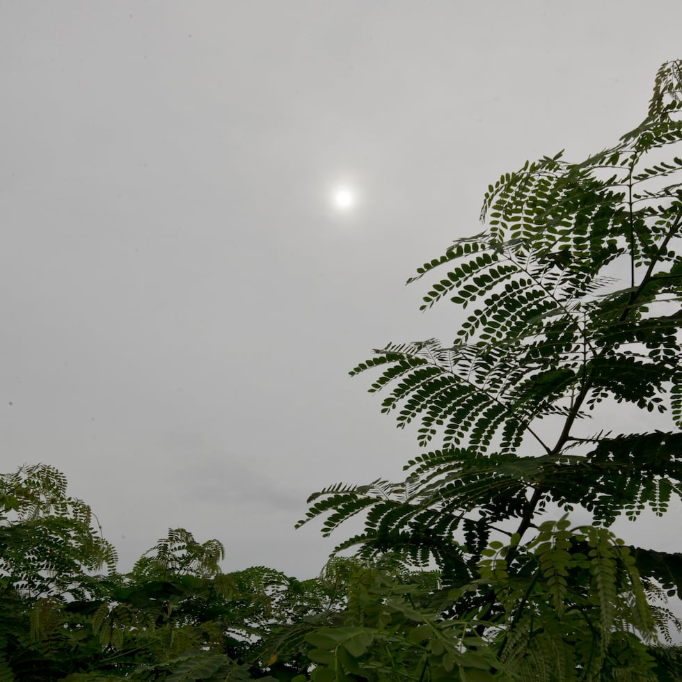 En horas de la tarde, se esperan aguaceros aislados sobre sectores del interior y el suroeste.