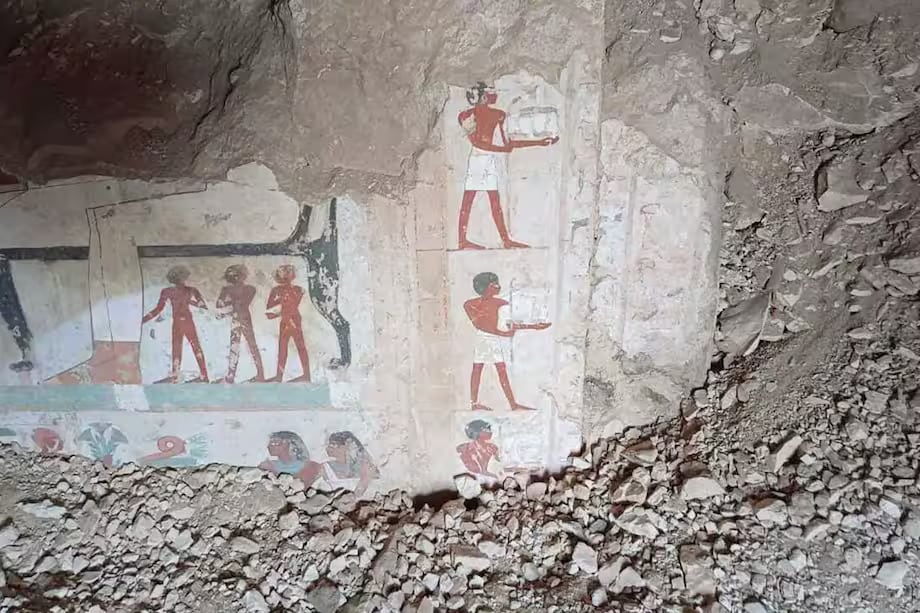 Imagen de la cobertura de: Estudio identifica animales y plantas usados en pinturas del antiguo Egipto