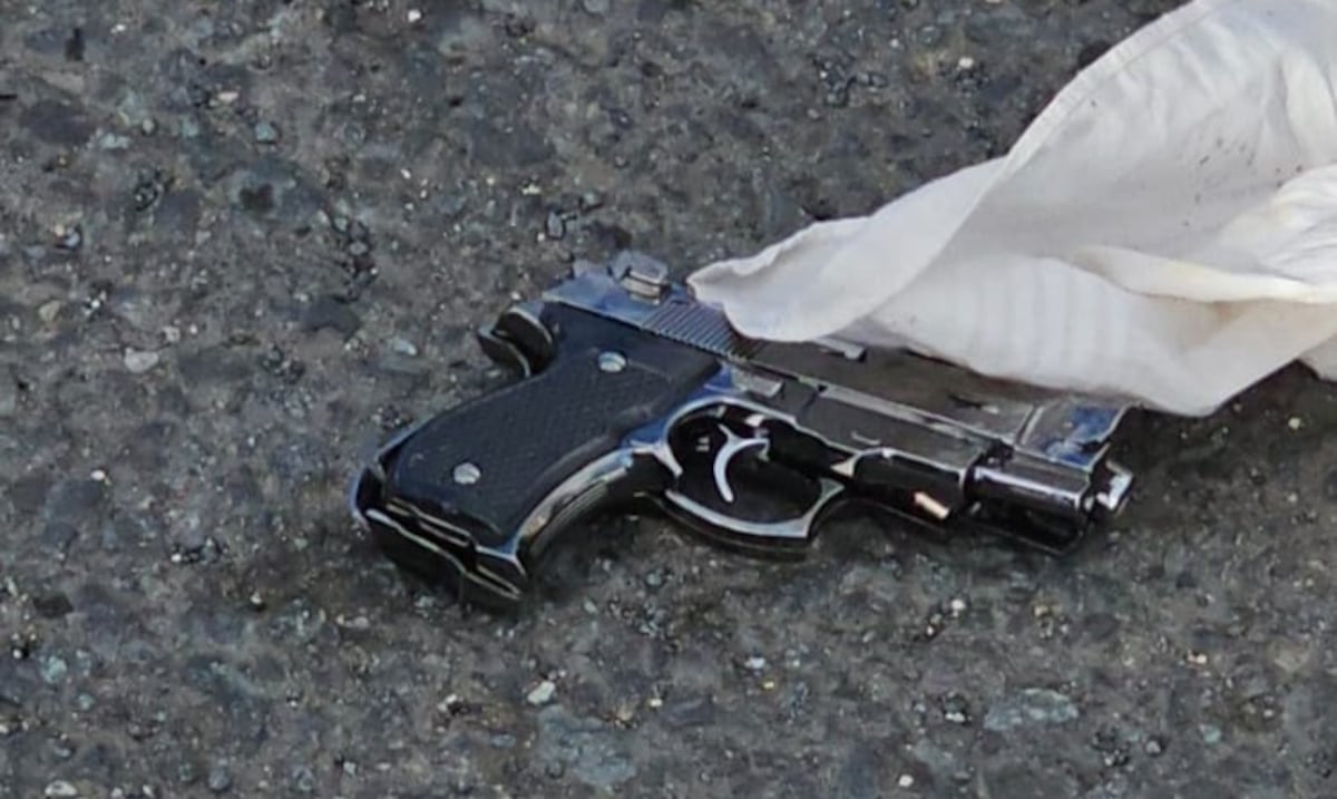 Policía respalda aprobación de amnistía para la entrega voluntaria de armas ilegales