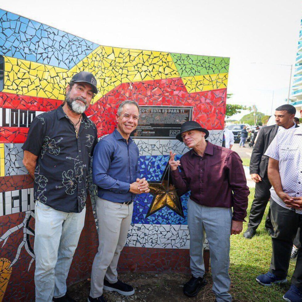 El mural fue desarrollado en colaboración con el artista Roberto Biaggi y la compañía Robi Design, como parte de un proyecto que busca integrar arte urbano en espacios públicos y fortalecer la identidad comunitaria de San Juan.