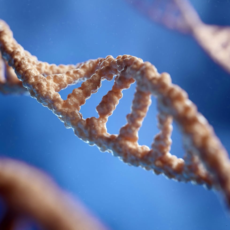 La molécula de ADN, representado en la imagen mediante una doble hélice, contiene nuestra información hereditaria. Foto: Digitale.de-Unsplash.