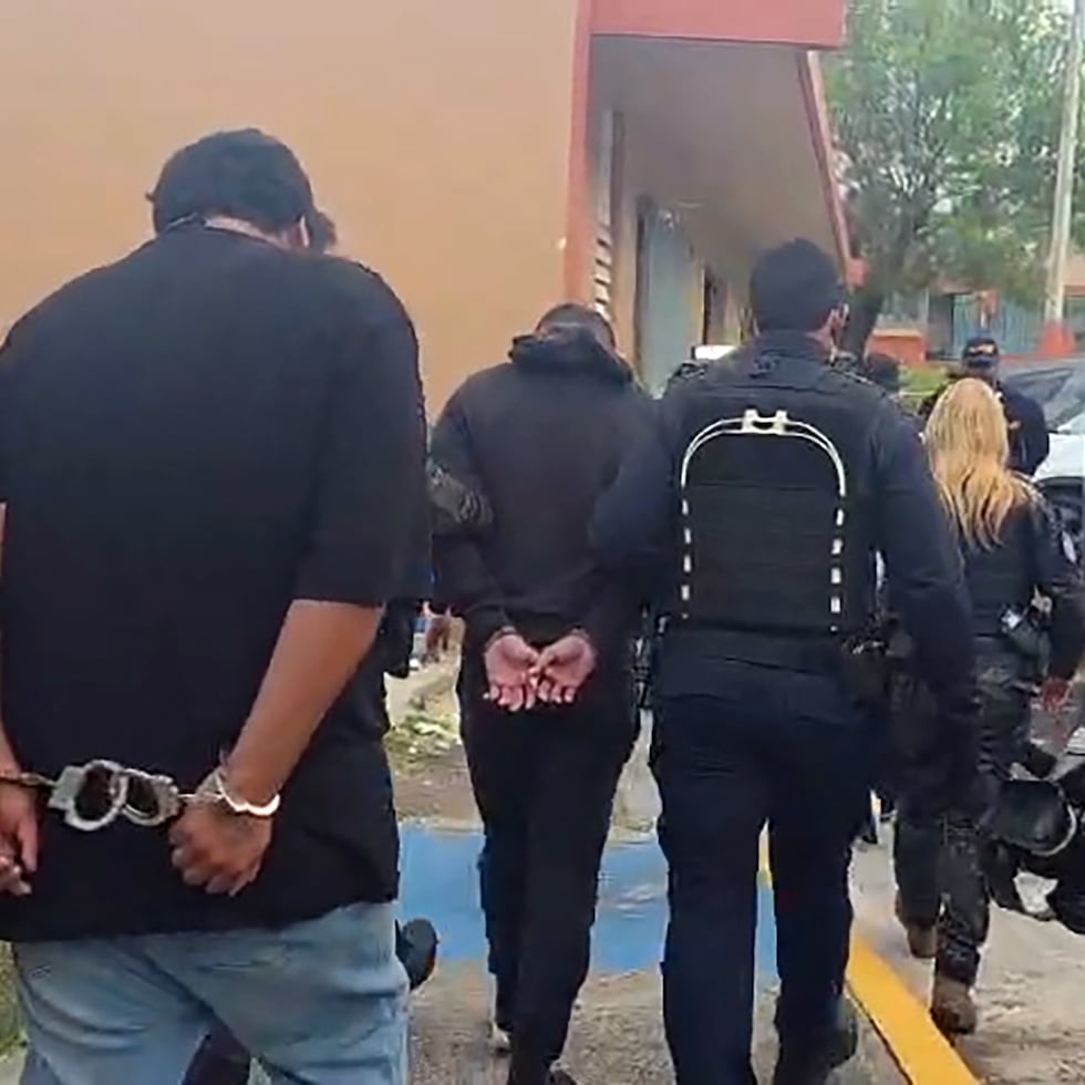 La Policía detuvo a cuatro adultos y dos menores durante un operativo de allanamientos en el residencial Jardín del Edén en Coamo.