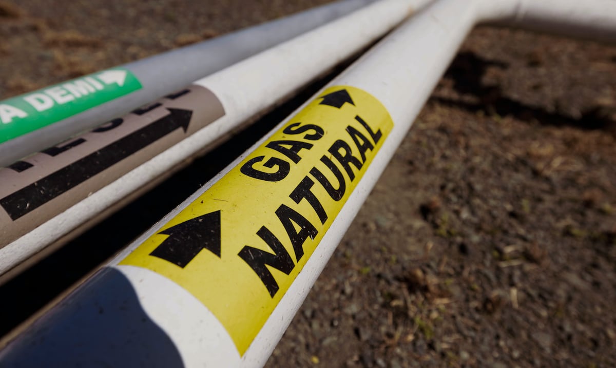 Army Corps of Engineers studies market for San Juan to Palo Seco gas pipeline construction
