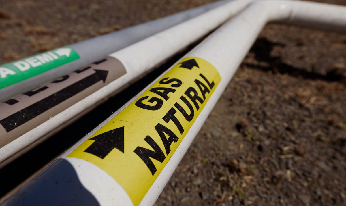Cuerpo de Ingenieros estudia el mercado con miras a construcción de gasoducto de San Juan a Palo Seco