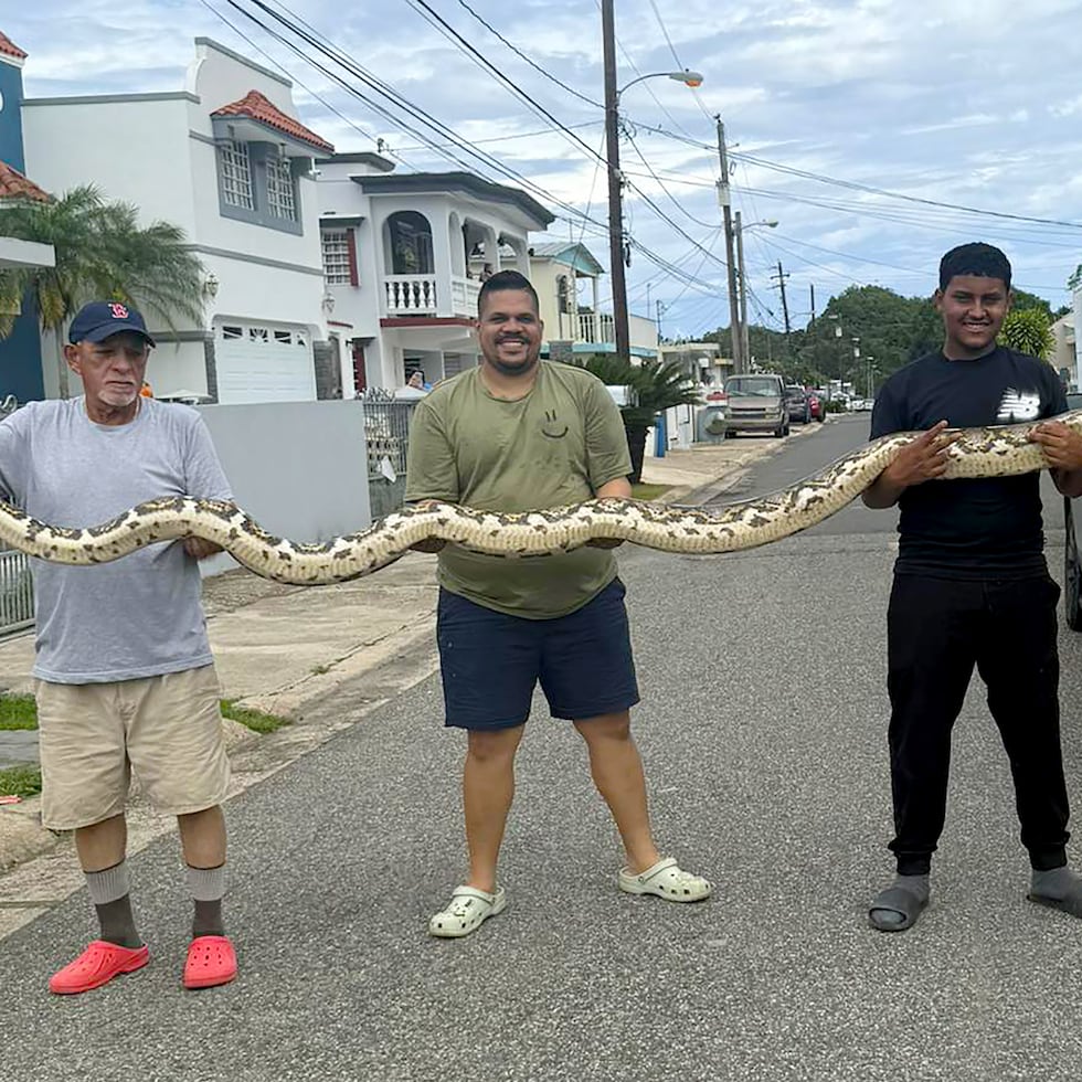 José Morales, conocido como "Gongo Fishin" (der), dijo que esta serpiente superó una de 17 pies que había visto con vida el mes pasado.