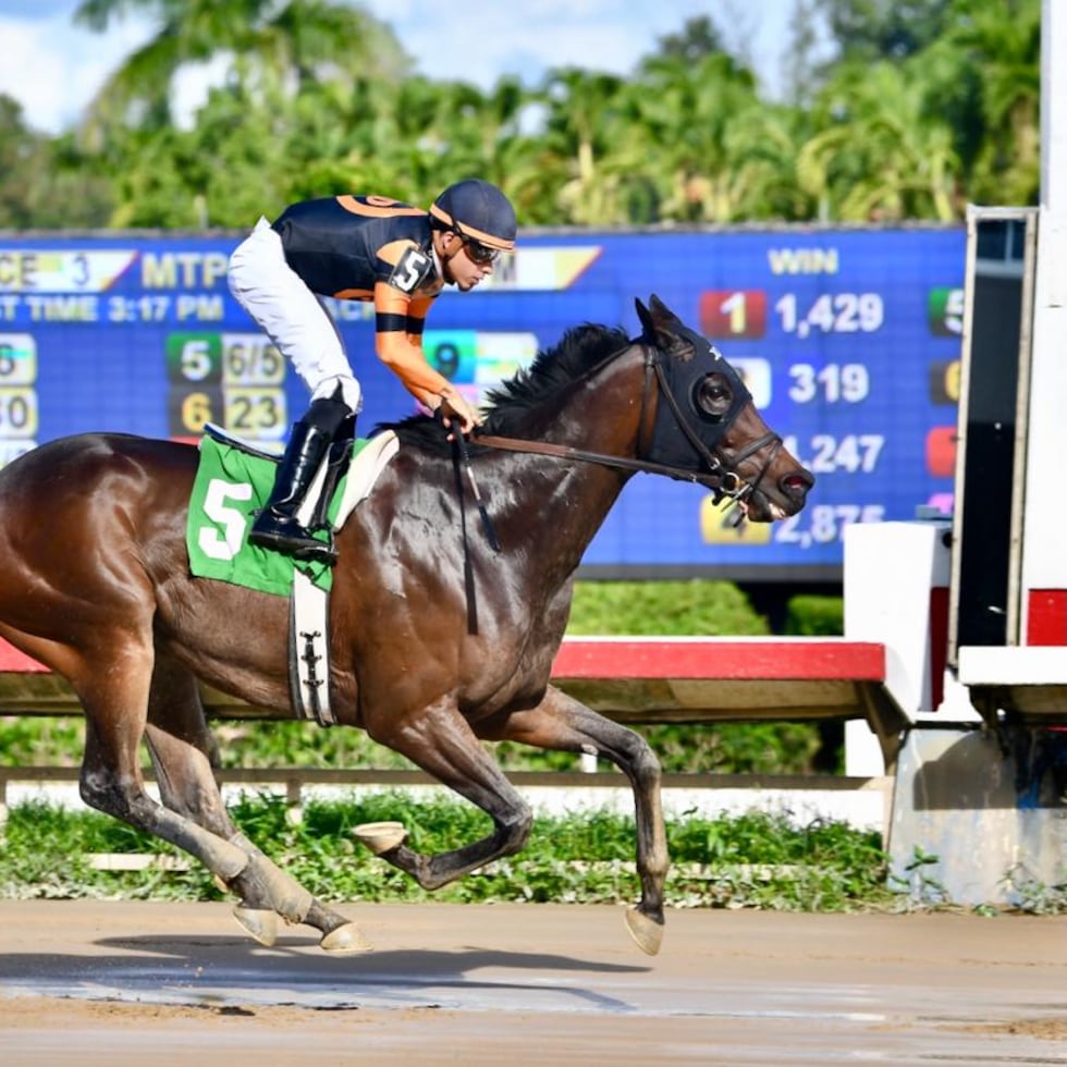 Septarian se apresta a cruzar primero la meta con Jean Carlos Díaz en los controles durante la prueba Trofeo Tommy Muñiz que se celebró el domingo en Camarero.