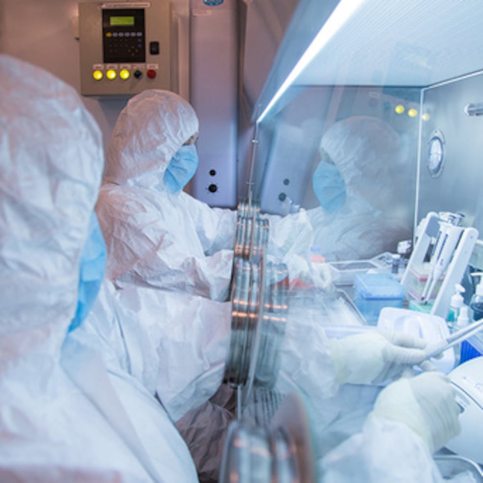 Esta fotografía sin fecha, difundida en 2019 por el Instituto de Investigación contra la Peste de Irkutsk de Siberia y el Lejano Oriente, muestra a los trabajadores del instituto en un laboratorio.
