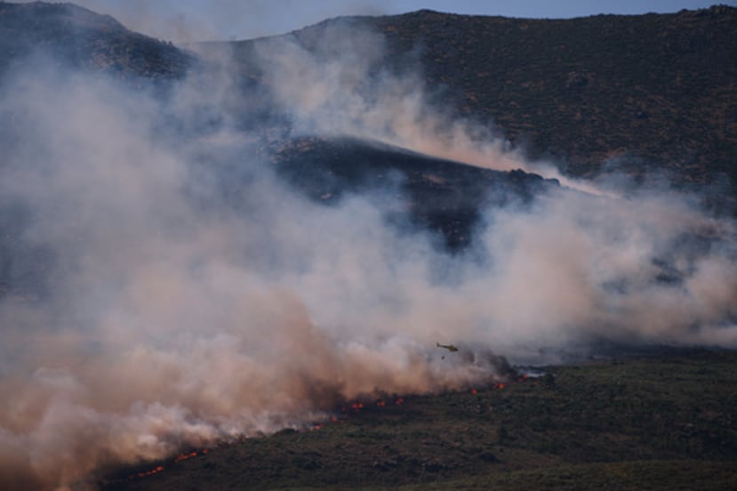 Un helicóptero de extinción de incendios lanza agua sobre las llamas mientras avanza un incendio forestal cerca de Burgohondo, en la provincia de Ávila (España), el viernes 24 de julio de 2026. (Foto AP/Manu Fernández)