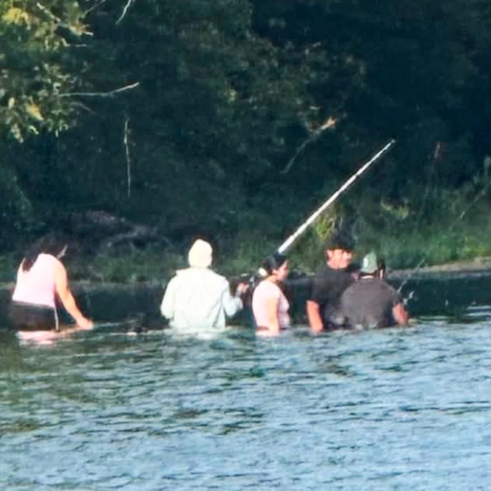 Vio a cinco adultos en el agua y a dos niños jugando cerca, en la orilla cubierta de césped.