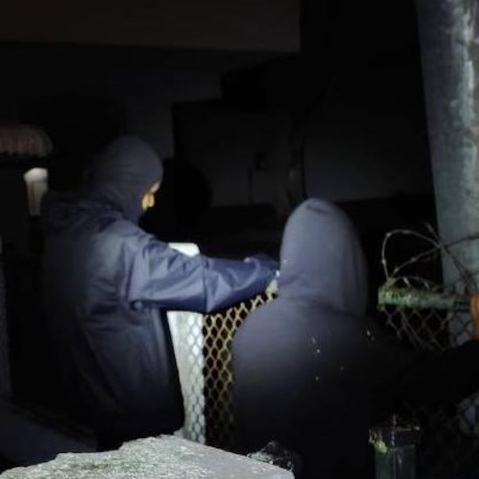 Foto de la compañía Genesis Security sobre la detención de menores durante un alegado escalamiento en la escuela Benjamín Harrison, en Cayey.