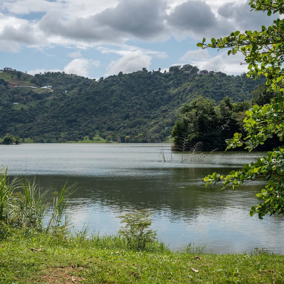 Hasta el momento no se ha podido localizar el auto ni a la persona, o personas, que viajaban dentro.
