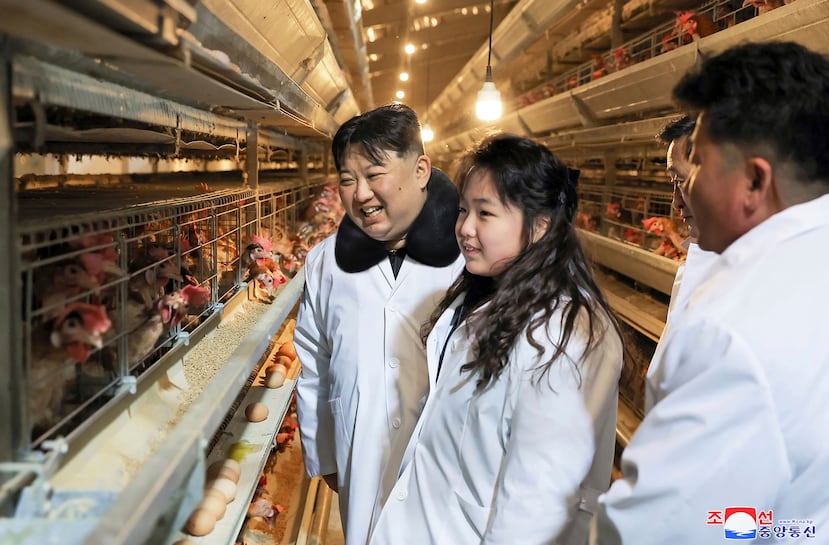 En esta fotografía proporcionada el lunes 8 de enero de 2024 por el gobierno de Corea del Norte, se muestra al gobernante norcoreano Kim Jong-un junto a su hija durante una visita a una granja de pollos realizada el 7 de enero de 2024.