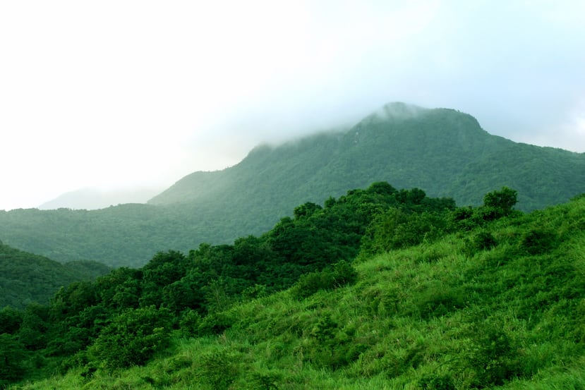Vista de El Yunque desde un área rural cercana a rio Blanco.
