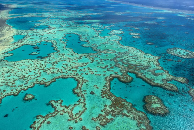 La Gran Barrera de coral, en el noreste de Australia, se está deteriorando por el calentamiento de las aguas, alertaron los científicos. (EFE)