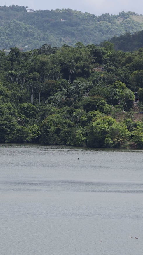 Luego de Dolly, la reserva ha registrado descensos, aunque el paso de varias ondas tropicales han brindado un leve alivio a la reserva.