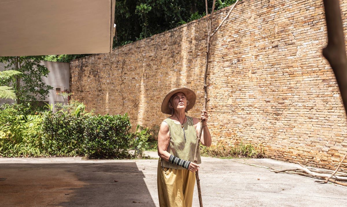 Coreógrafa Merián Soto presentará performance "Ramificando" en El Yunque