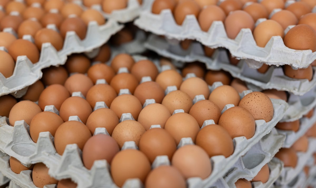 Agricultura impulsa alianza con supermercados para fortalecer la venta de huevo local