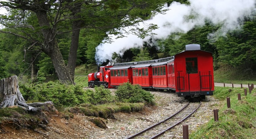 Desde el Tren por el Fin del Mundo podrás contemplar su abundante vegetación, riachuelos, caballos silvestres y hermosas planicies con verdes pastos.