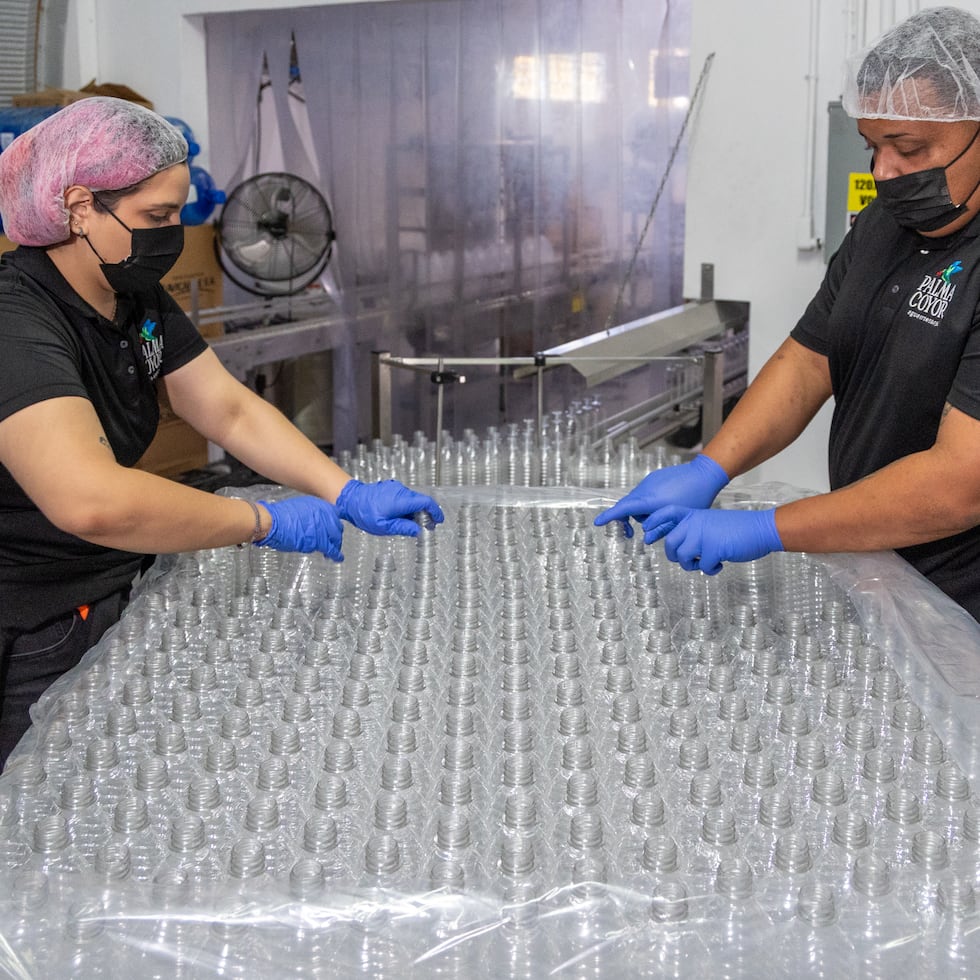 La operación genera 11 empleos directos.