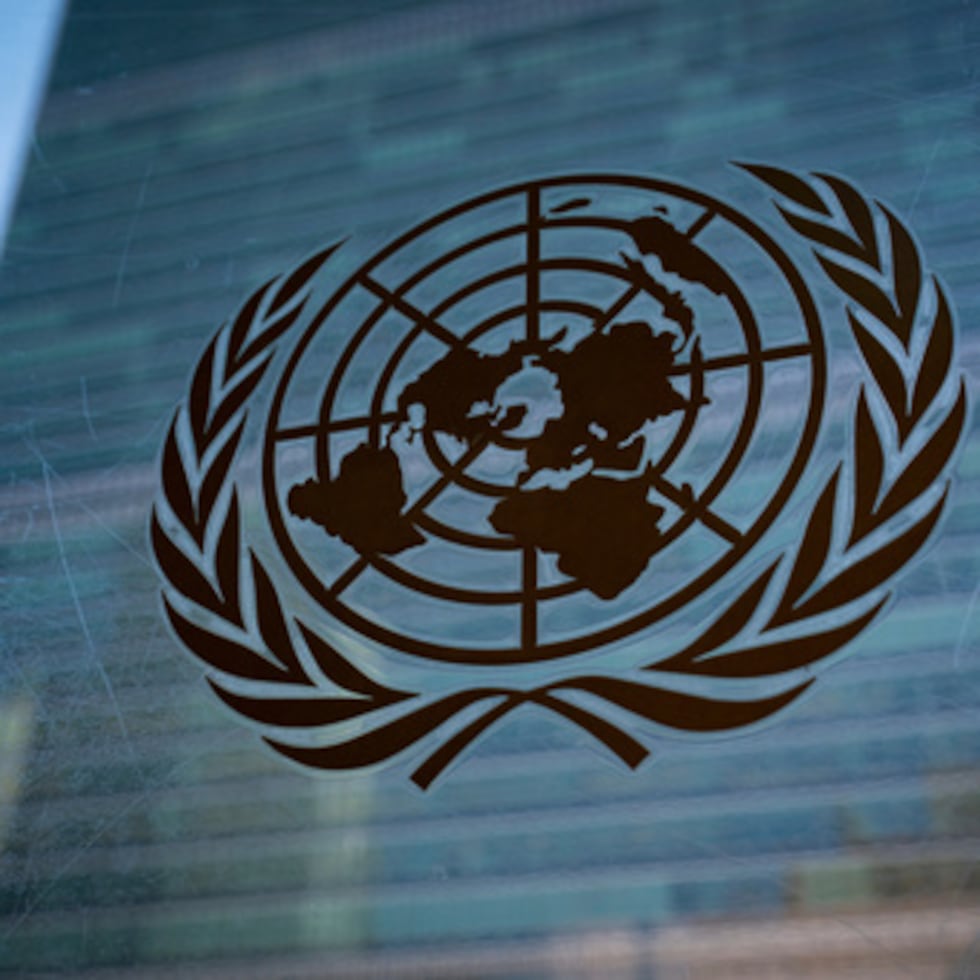 El panel elaborará un informe anual de carácter “no prescriptivo”, es decir, que tendrá un carácter consultivo y no normativo, que buscará servir de referencia para los Estados miembros y otros actores internacionales.