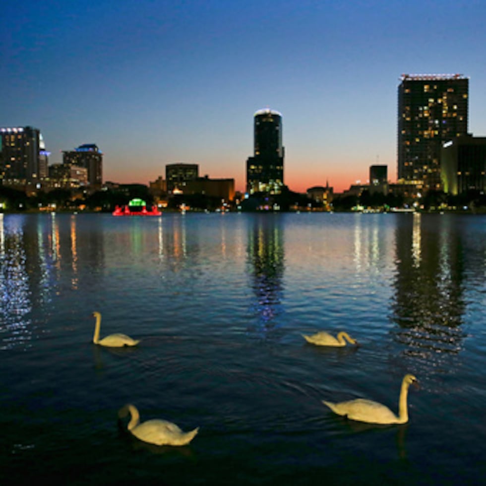 En esta foto del lunes, 19 de mayo de 2014, cisnes nadan en el lago Eola mientras se pone el sol en Orlando, Florida (AP Photo/John Raoux, Archivo).