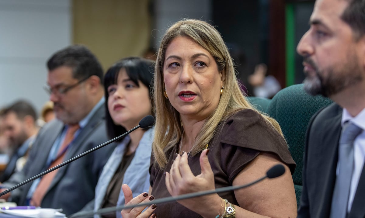 Desde tildarla de “bruta” hasta “mentirosa”: exdirectora regional de Familia demanda a Suzanne Roig