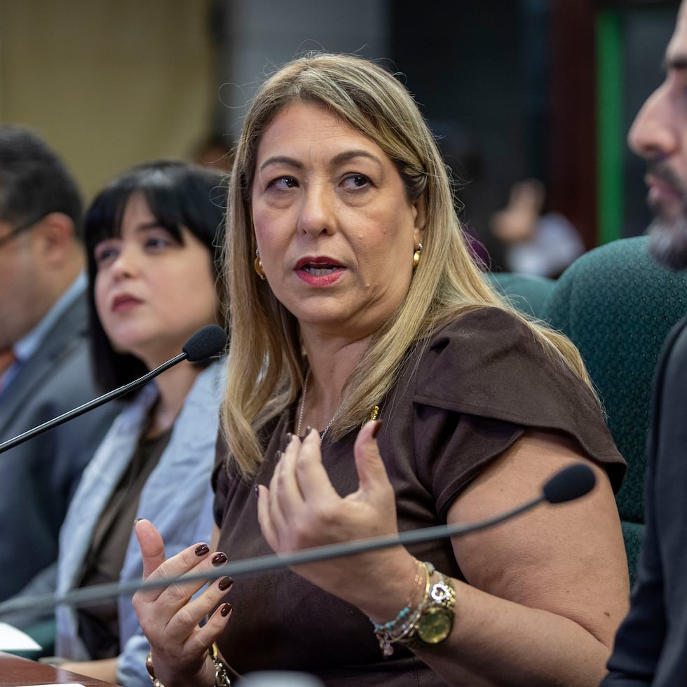 The Secretary of Family Affairs, Suzanne Roig, has defended her handling of the controversial proposals, which were never awarded as contracts.